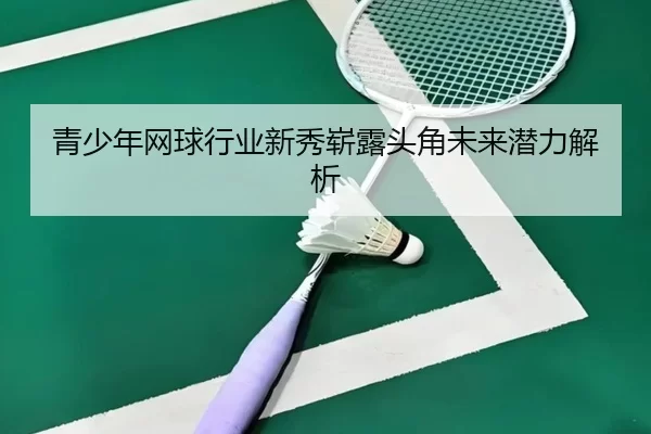 青少年网球行业新秀崭露头角未来潜力解析